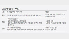 한상범 “포스트 LCD는 올레드… 차세대TV 주도할것”