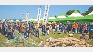 [지금 내고향에선]고인돌-천불천탑-적벽… ‘스톤 벨트’로 묶어 명품관광지로