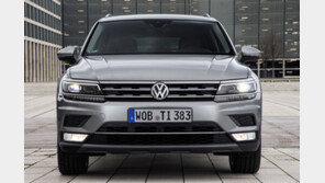 타머 폭스바겐 대표…배기가스 조작 개입