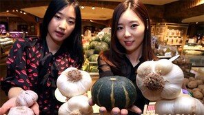 한통 4000원… 단호박만 한 마늘