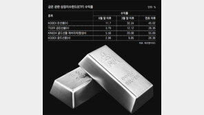 뛰는 金위에 나는 銀… 2년만에 최고가