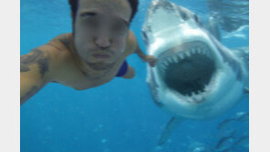 상어 공격 직전에 셀카 촬영? 해외 인터넷 괴담