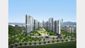 [화제의 분양현장]요즘 똑똑한 소비자들 ‘중소형+서울 근처’ 확실한 대세