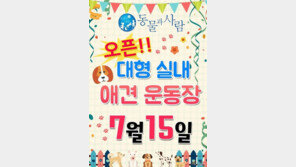 동물과사람, 실내 애견운동장 오픈