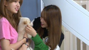 [오늘의 채널A] I.O.I, 유기견 돌보다 멘붕