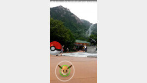 설악산에 나타난 ‘요즘 핫한 아이들’