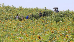 여름휴가 ‘7월말-8월초’ 절정…휴가 목적지 2위 ‘경남’ 1위는?