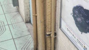 '포켓몬고'로 촉발된 증강현실 열풍, 국내 업체들도 지지 않는다