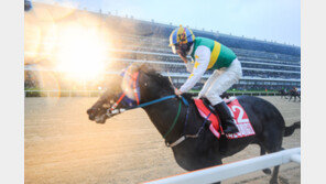 파워블레이드, 9년만에 트리플크라운 신화 쓰나