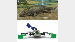 로봇-3D로 공룡 연구해보니… ‘쥬라기공원’ 허구가 아니네!
