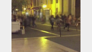 “佛니스, 여름엔 하루 한국인 관광객 400~500명…피해 여부 확인 중”