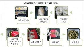 반려견용 간편식 나온다