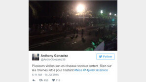 외신 “프랑스 니스 트럭테러 사망자 84명↑…중상 어린이도 많아”