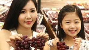 “칠레서 온 포도입니다”