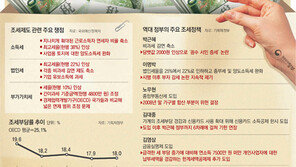 정치에 휘둘려선 안돼… ‘넓은 세원-낮은 세율’ 원칙 세워야