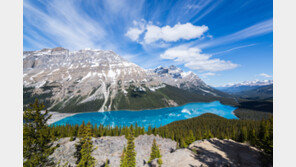 [여행, 나를 찾아서]천혜의 국립공원, 짜릿한 빙하투어…환상체험