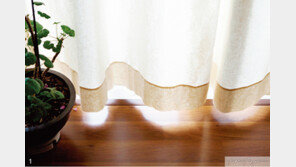 파워 블로거 다다의 집 [안]에서