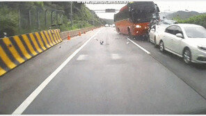 영동고속도로 봉평터널 추돌사고 블랙박스 공개…“사고 아닌 살인” 공분