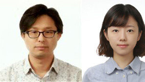 태양전지 효율 높이는 신소재 ‘페로브스카이트’ LED 개발