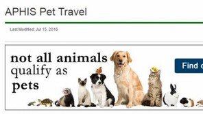 '반려동물 해외여행 서류 한눈에 확인하세요'