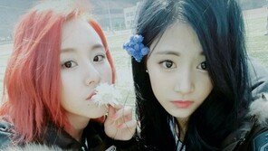 대세 걸그룹 트와이스 근황 사진 공개 ‘꽃보다 쯔위·채영’