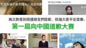 ‘中에 사과하기 대회’ 뭐길래?…“하늘 너무 맑아 미안합니다”