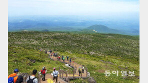 한라산 남벽구간 재개방… ‘사통팔달’로 열린다