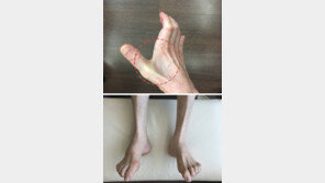 이재현 CJ회장 재상고 포기 “병세 악화… 젓가락질도 못해” 