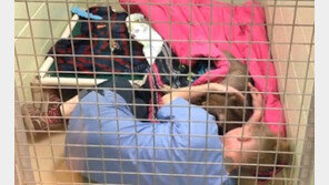 수술받은 유기견 안심시키려 곁에 누운 자원봉사자