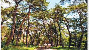 “여름이 부른다, 양산이 부른다”