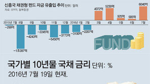“다시보자, 신흥국 채권”… 고금리-환차익 매력에 들썩