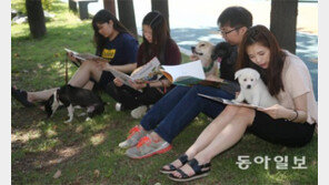 버려진 동물에게 책 읽어주는 남자