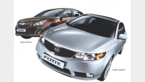 [CAR]중고차로 운전 입문하는 20대 ‘나의 범블비’ 만나려면… 