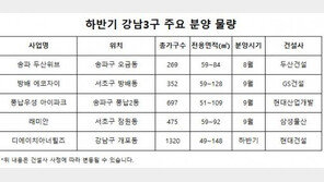 새 아파트 부족한 ‘강남3구’…하반기 1258가구 분양