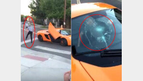 [영상]2억8000만 원 짜리 슈퍼카 앞 유리 부수고 도망, 무슨 일?