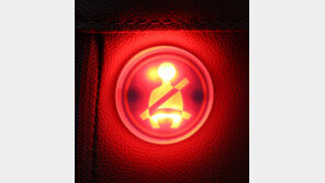 승용차 뒷좌석도 안전띠 안하면 ‘경고음’…경고장치 전 좌석 설치 의무화된다