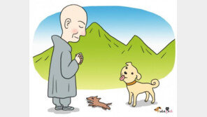 어느 산사의 풍산개 이야기