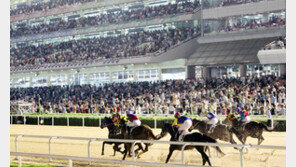 말 뛰는 곳에서 바이크가?