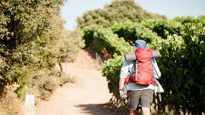 상처를 품고 무작정 걸었다… 그리고 서서히 변해갔다