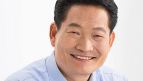 송영길 “새누리 대선 후보 경쟁력? 유승민이 최고, 왜냐면…”