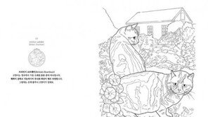 컬러링북 ‘나의 사랑스런 고양이’