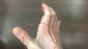 검찰, 이재현 CJ그룹 회장 3개월 형집행정지 결정 “유전성 희귀질환 병세 감안”