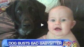 '작은 주인님 때리지마' 못된 베이비시터 막은 개