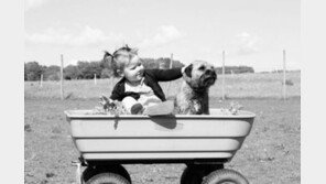 '좋아요'는 아기와 개 함께 키우는 사람만 누르세요