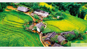 VIETNAM SAPA TREKKING