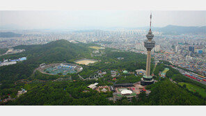 “화끈해서 더 시원한…‘대프리카=대구+아프리카’ 달구벌로 오세요” 