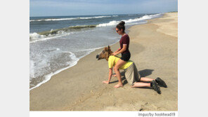 말이 된 착한 남자 친구? ‘인터넷 시끌’