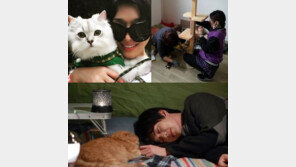 ‘택시’ 선우선 “고양이 식비 50만원”…유승호·장나라 애묘(愛猫) 연예인 누구?