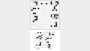 [바둑]제37회 세계아마바둑선수권대회…위험한 독식