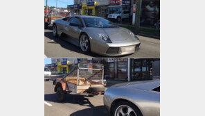 [영상]염소 실은 트레일러 끄는 5억짜리 람보르기니, 원래 농업용?